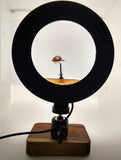 Mesquite Fly Photo Ring Right with Backdrop